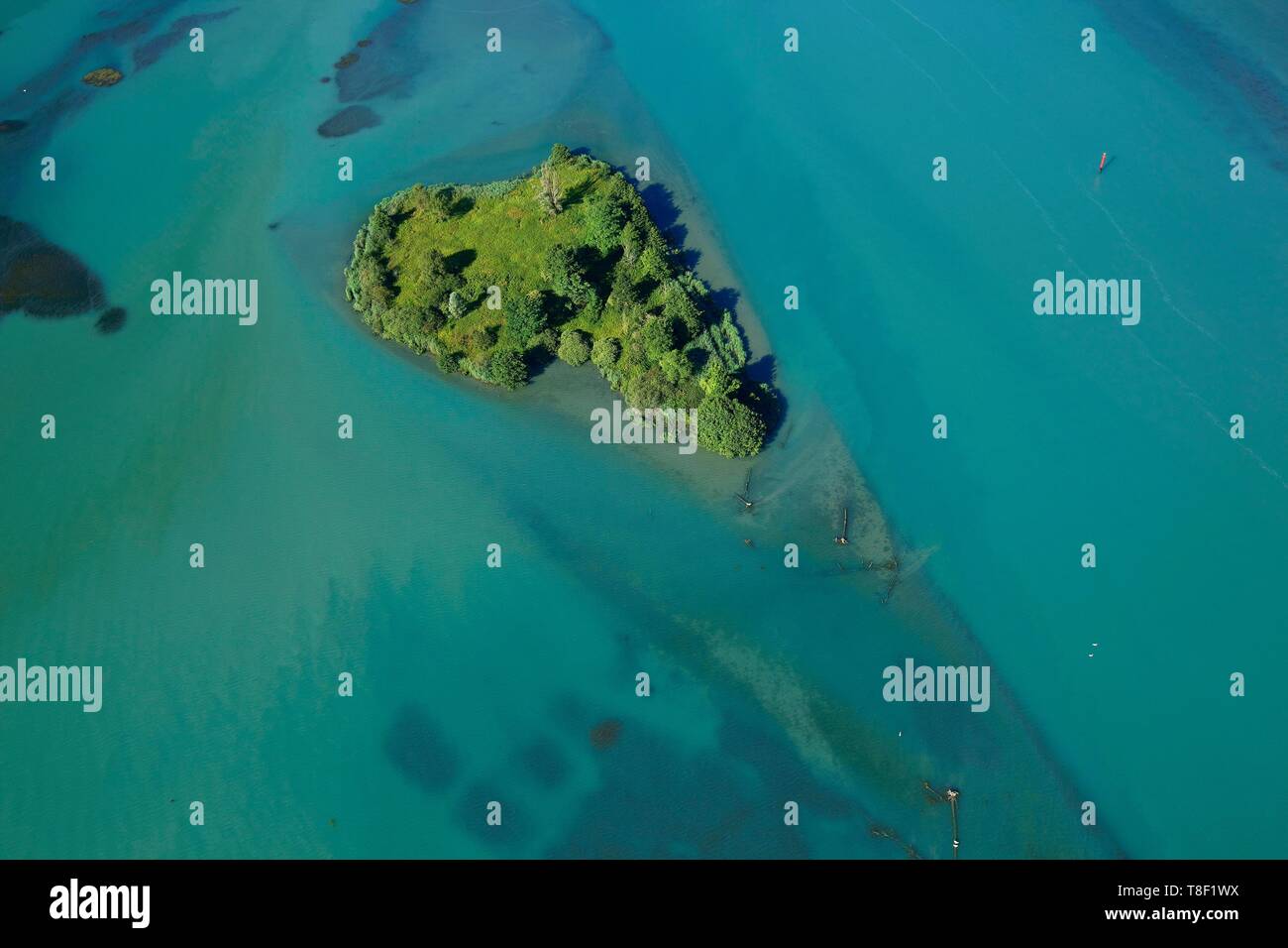 France, Ain, Massignieu de Rives, king's bed lake on the Rhone, bird island (aerial view) Stock Photo