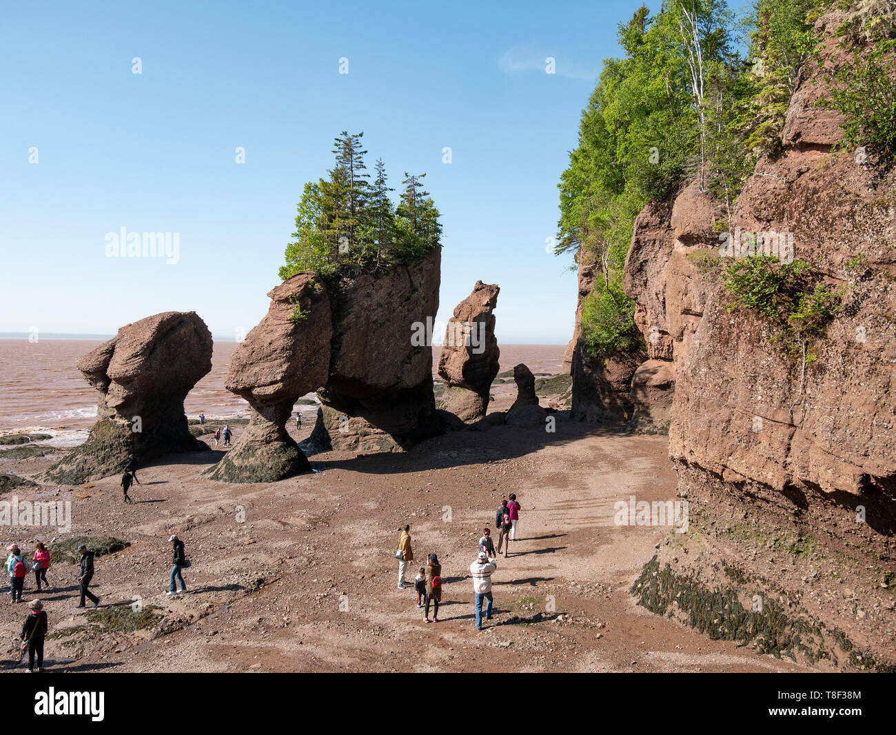 The Hopewell Rocks is one of New Brunswick’s top attractions. Walk on the ocean floor in the shadows of the majestic flower-pot rocks, unique formatio Stock Photo