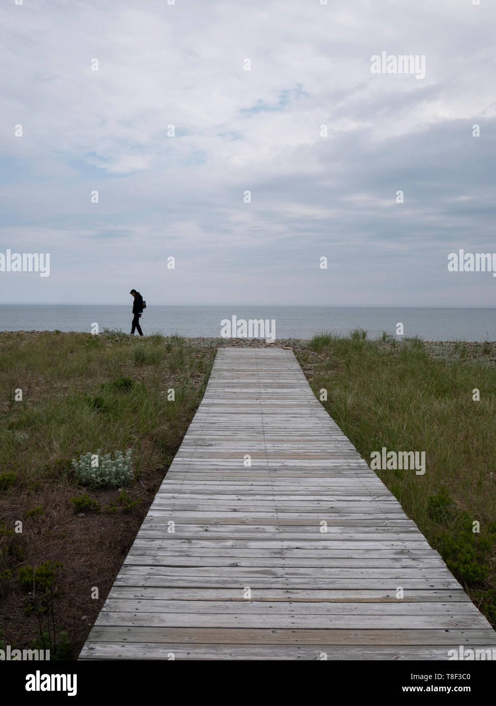 Seaside Drive Beach and Provincial Park in Dominion, Nova Scotia ...