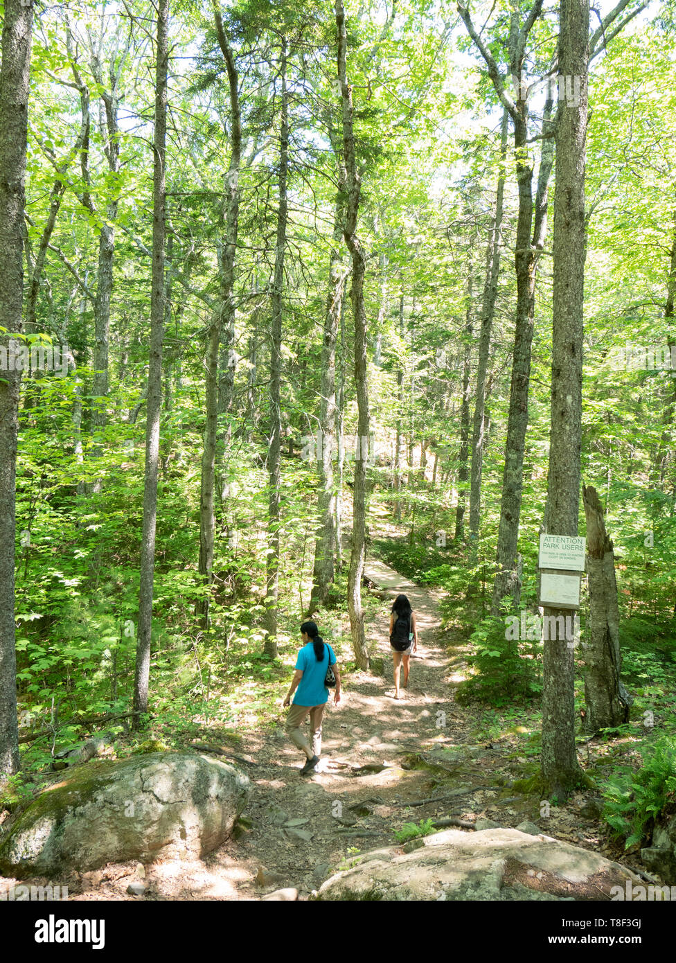Camden Hills State Park, Camden, Maine USA 30 miles of scenic hiking