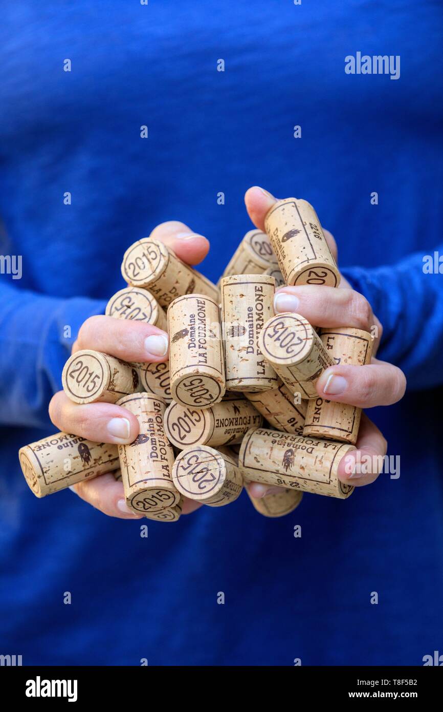 France, Vaucluse, Vacqueyras, Domaine La Fourmone, corks Stock Photo