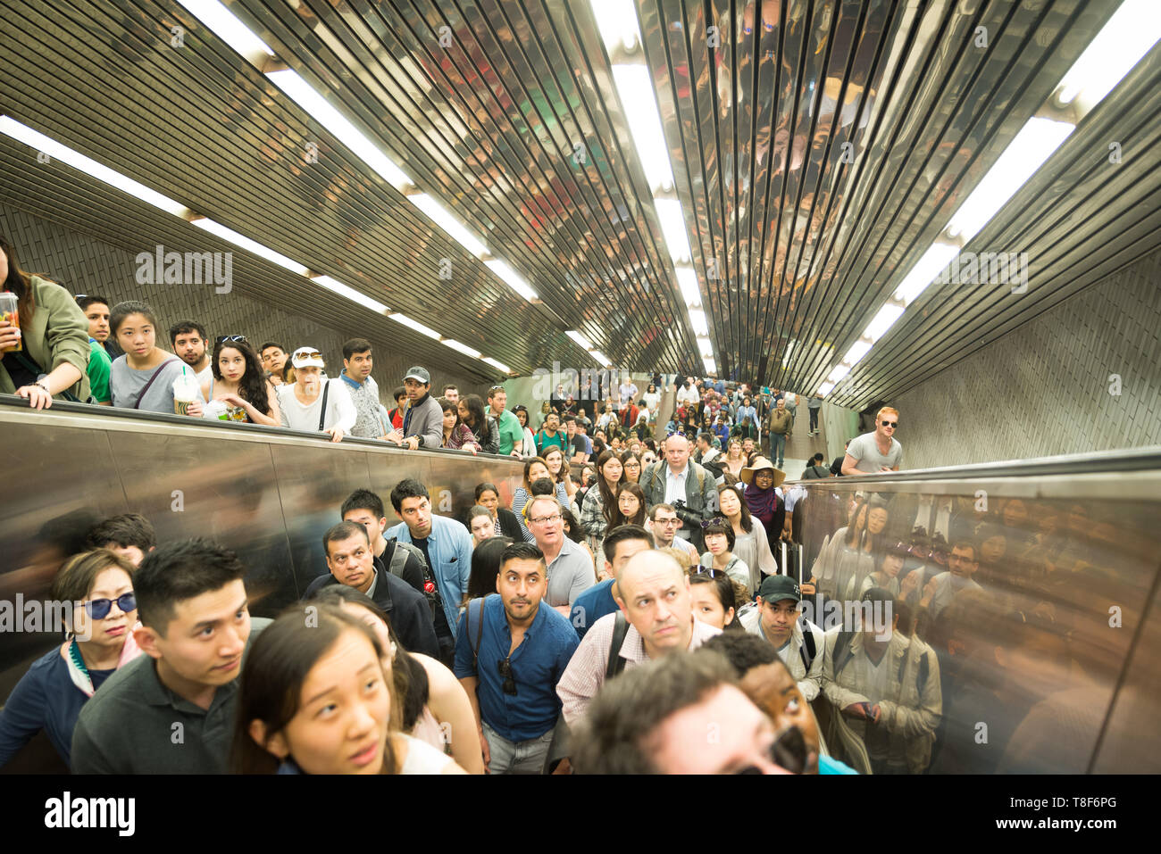 New York City Transit during busy crowded times many people on line to see cherry blossom festivals Stock Photo