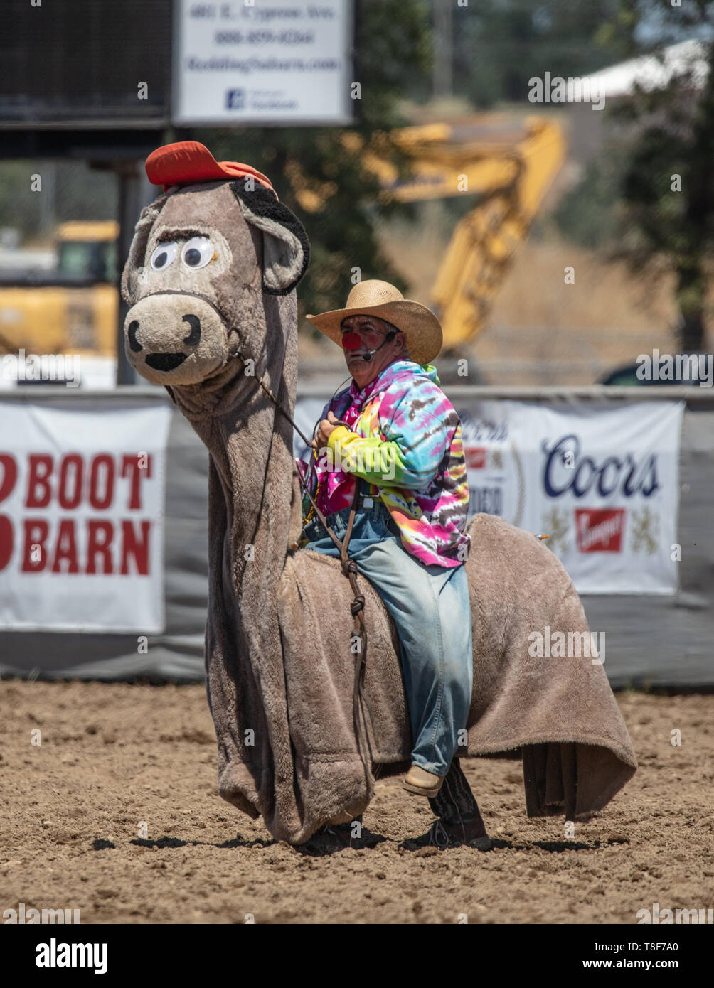 A rodeo clown having a good time at the 2019 Cottonwood Rodeo in ...