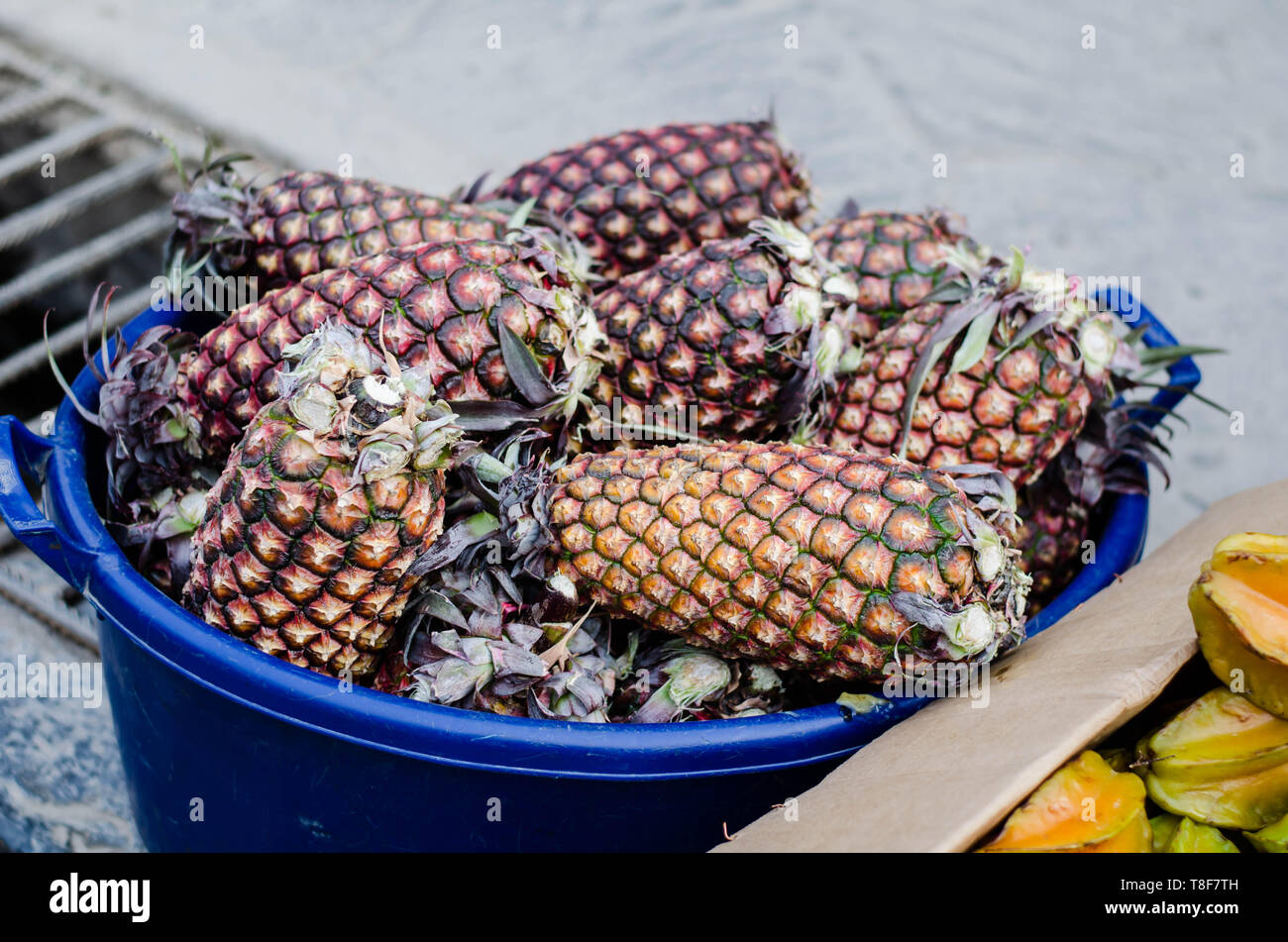 Peruvian pineapples are generally larger than Hawaiian pineapples, with a more elongated shape and bigger crown. Stock Photo