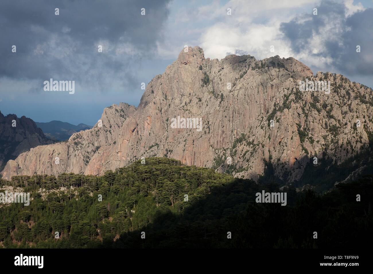 France, Corse du Sud, Alta Rocca, Zonza, view from the Bavella pass on the east coast and the Punta Tafunata di Paliri (1213m) Stock Photo