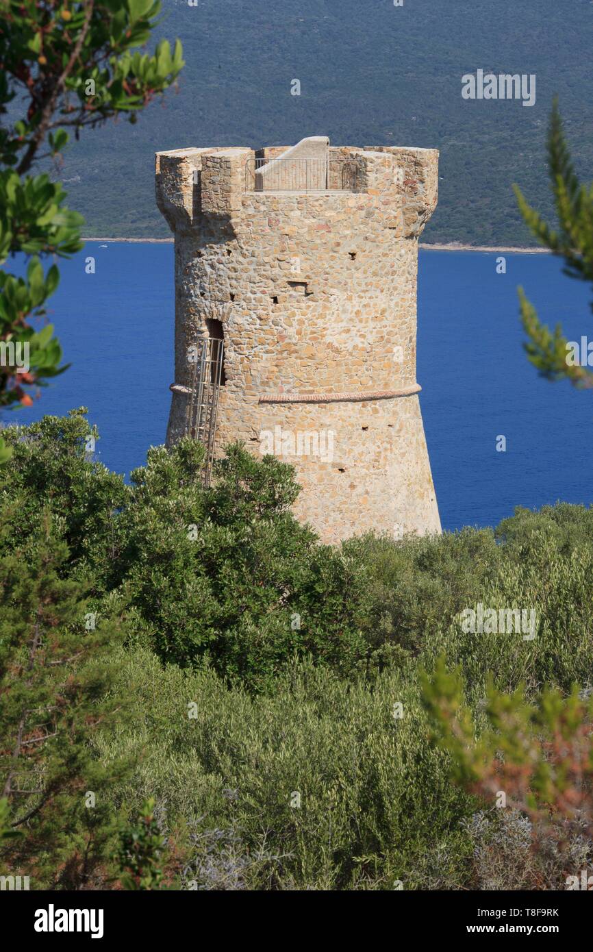 France, Corse du Sud, Serra di Ferro, Genoan tower of Capannella in Porto Pollo Stock Photo