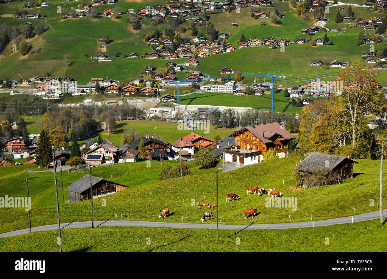 Mountain town in Grindelwald, Switzerland. Grindelwald was one of the