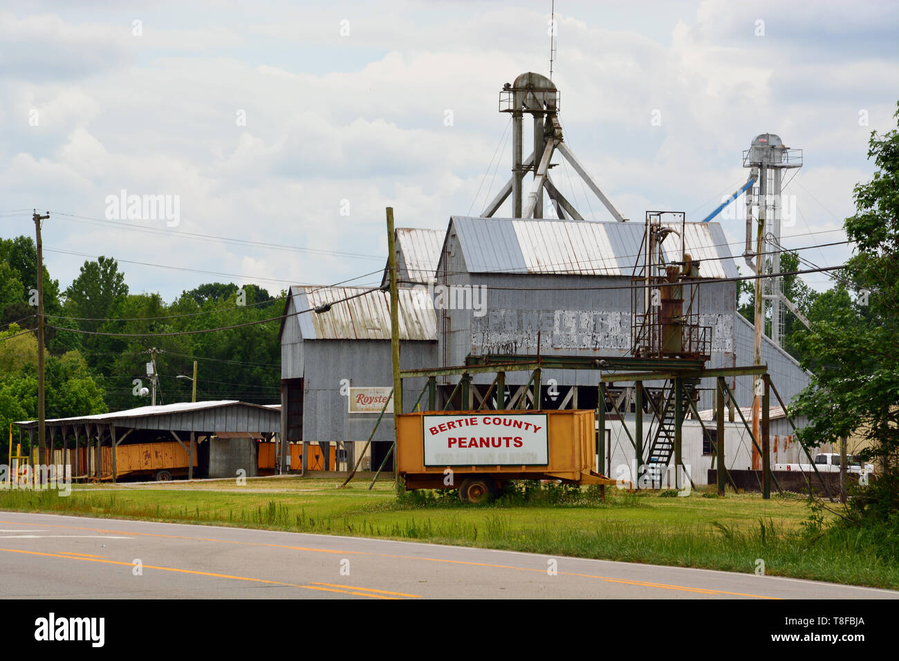 Bertie County Peanuts in Winsor NC processes nuts from local peanut fields and is well known for their Blister Fried Peanuts. Stock Photo