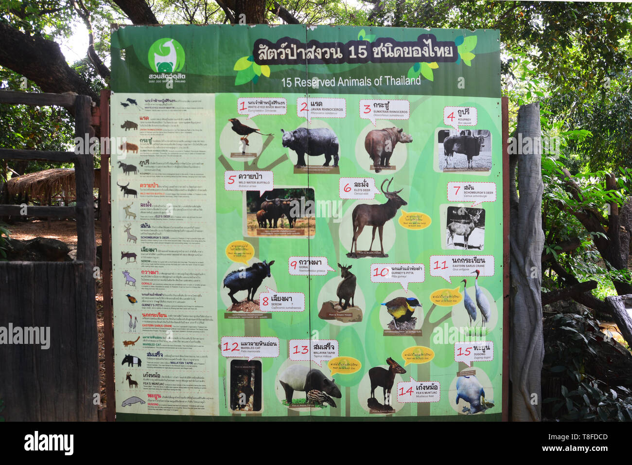 BANGKOK, THAILAND - AUGUST 10, 2018: bulletin board of 15 Wildlife ...