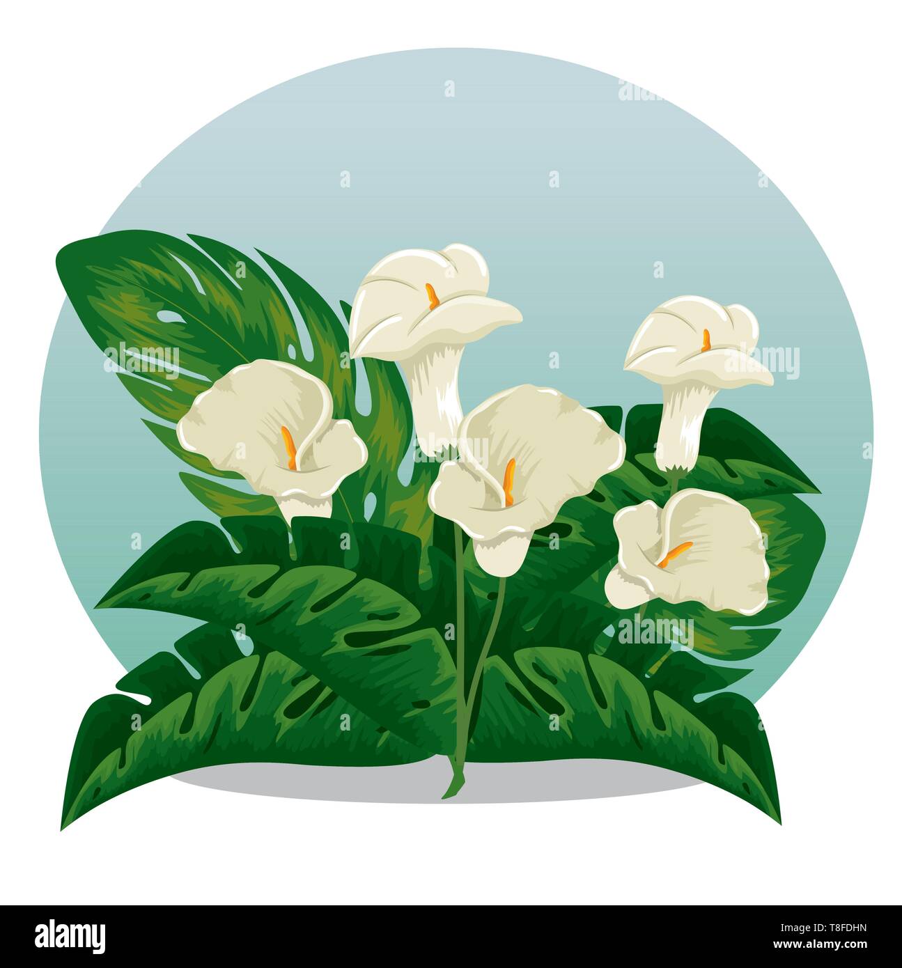 exotic flowers plants with natural leaves Stock Vector Image & Art - Alamy