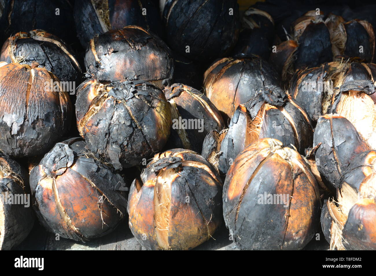 roasted coconut, Coconut burn Stock Photo Alamy