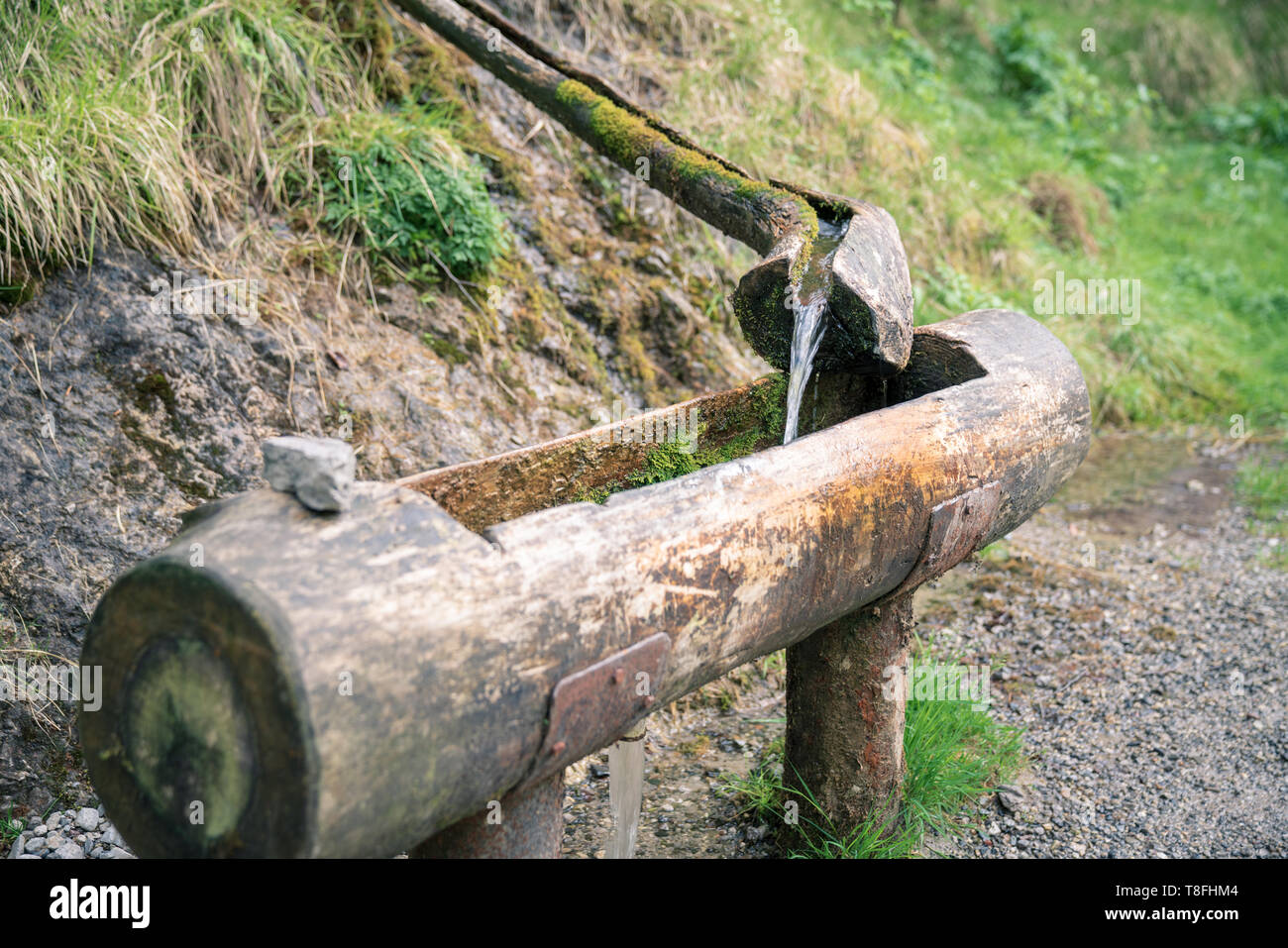 Natural raw unfiltered water flowing from wooden fountain spring at the Val Vertova torrent near Bergamo.Italy Stock Photo