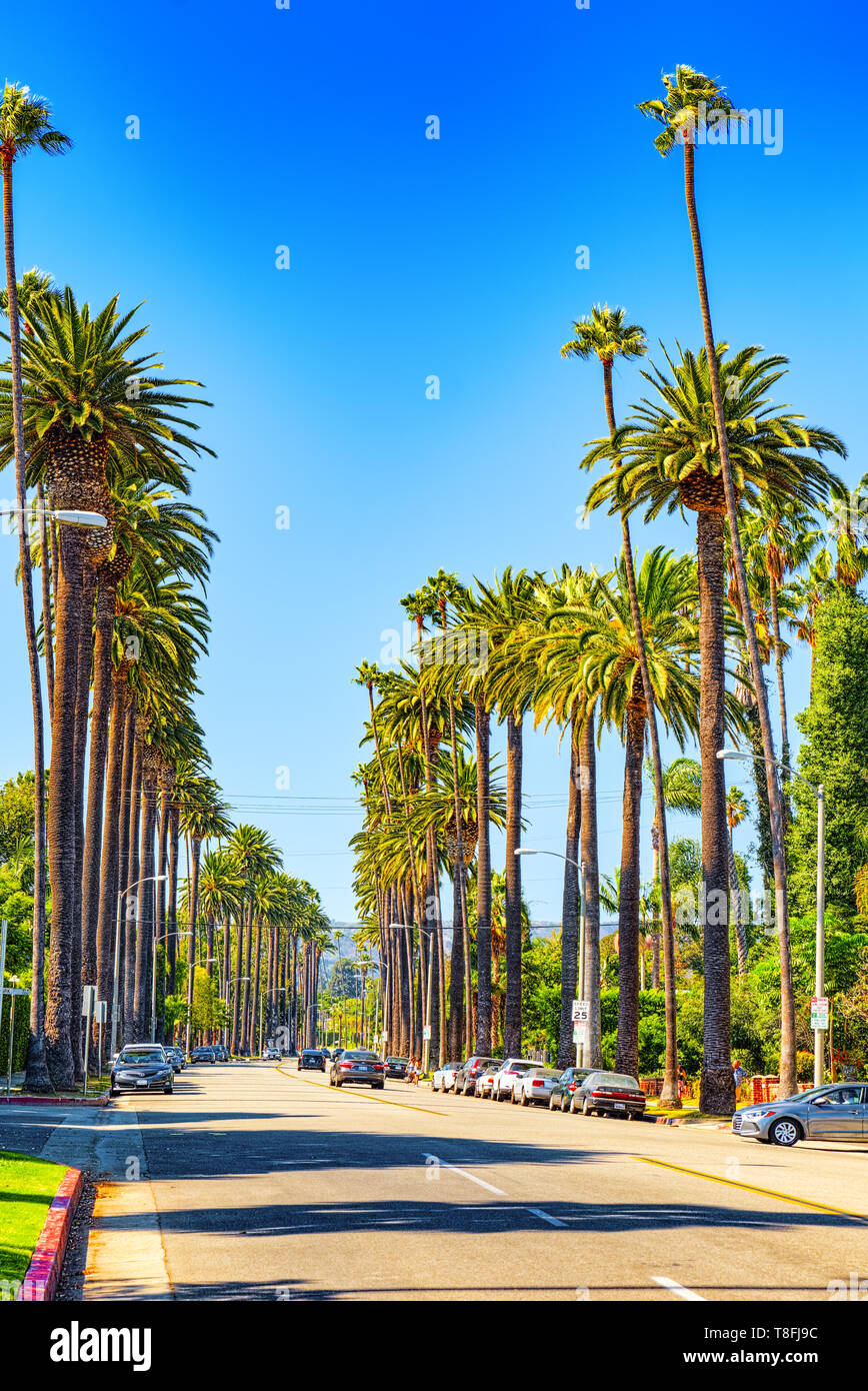 Beverly Hills Areas