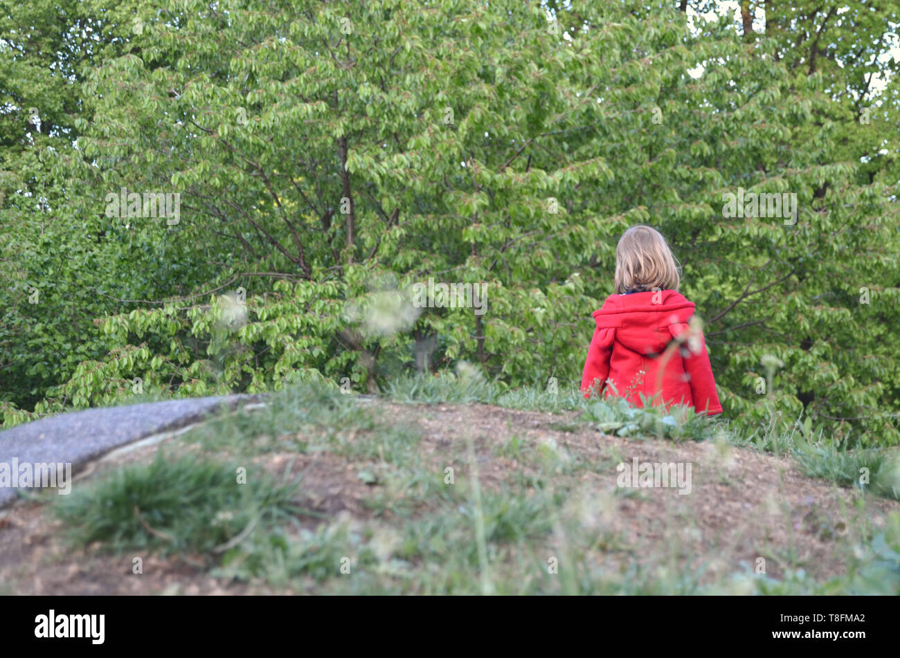 Little toddler girl in a rad coat walking in the nature all alone, by her own, seen from behind Stock Photo