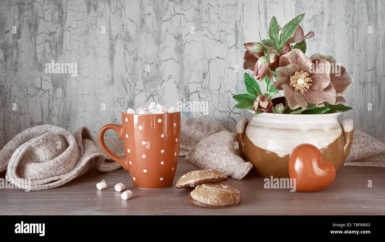 Wintertime, hot chocolate with marshallows, anemone flowers, heart and winter decorations on light rustic background, panoramic toned image Stock Photo