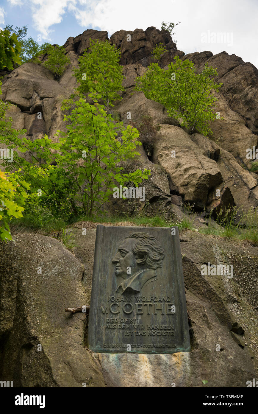 Bodetal bei Thale, Sachsen-Anhalt, Deutschland Stock Photo