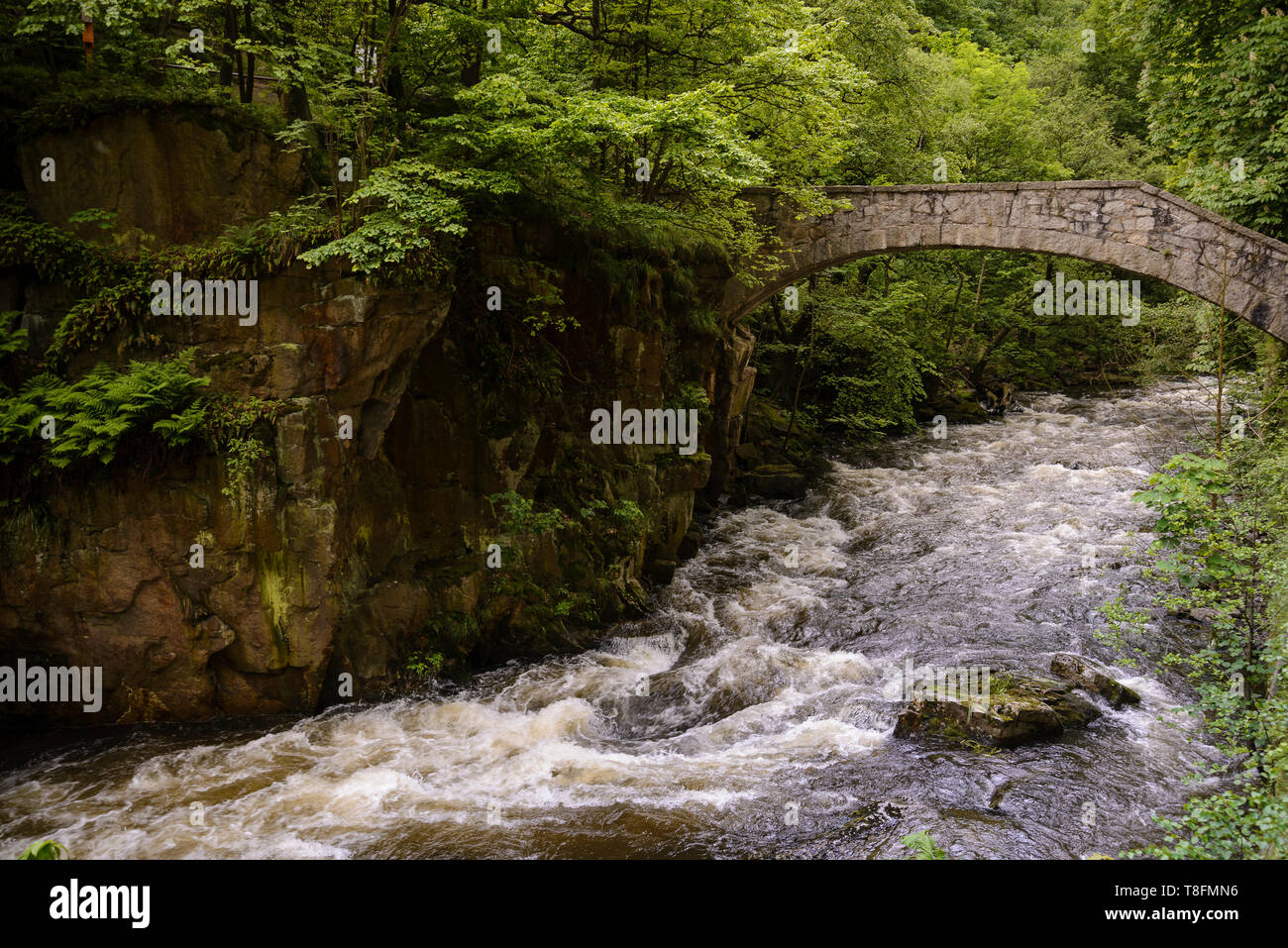 Bodetal bei Thale, Sachsen-Anhalt, Deutschland Stock Photo