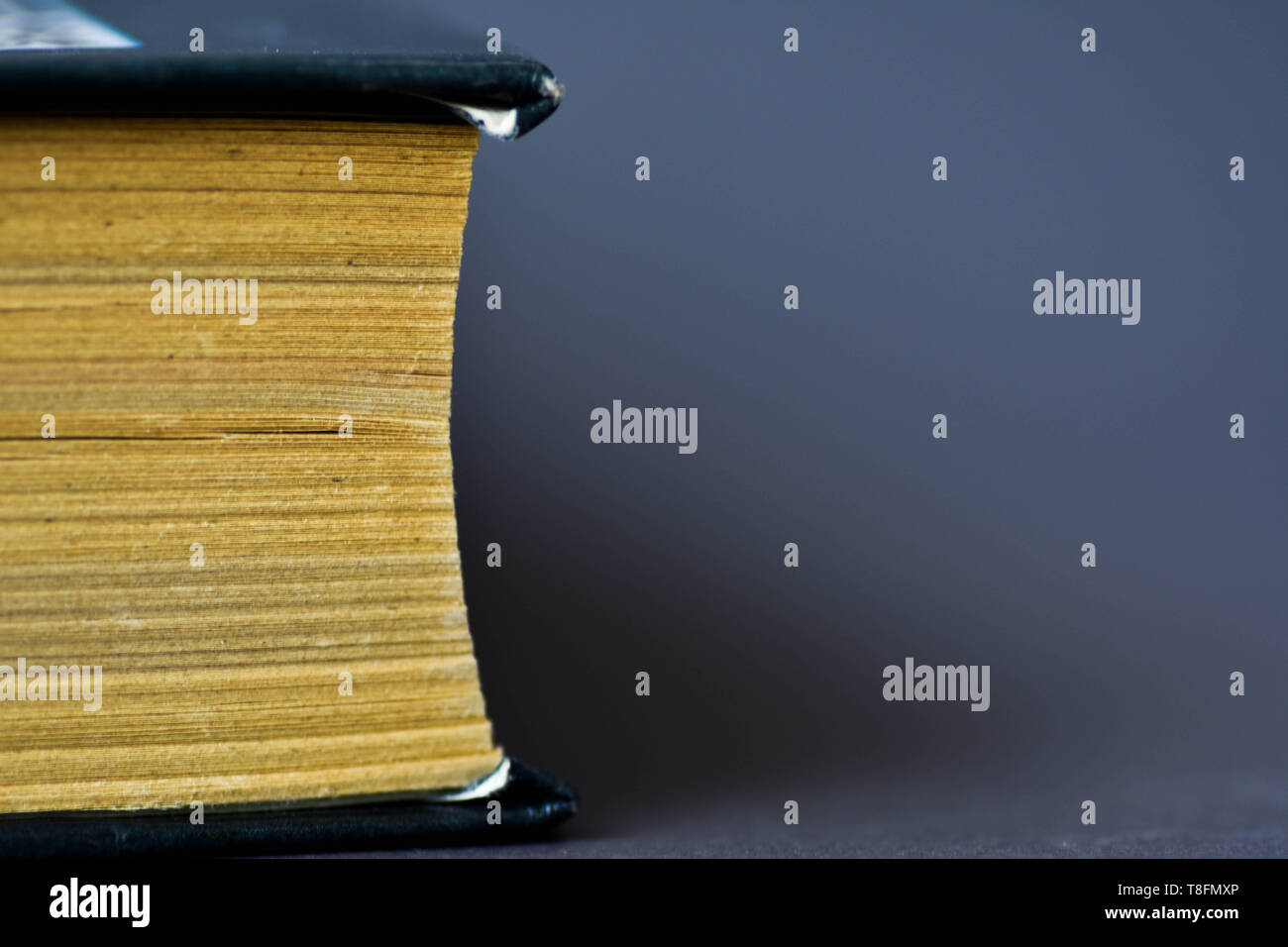 Book on dark blue background. Soft focus Stock Photo