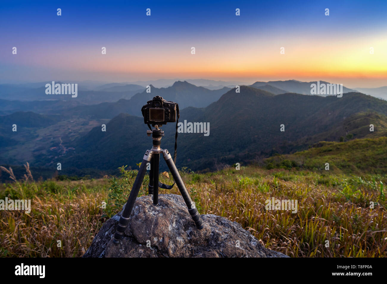 Tripod heads hi-res stock photography and images - Alamy