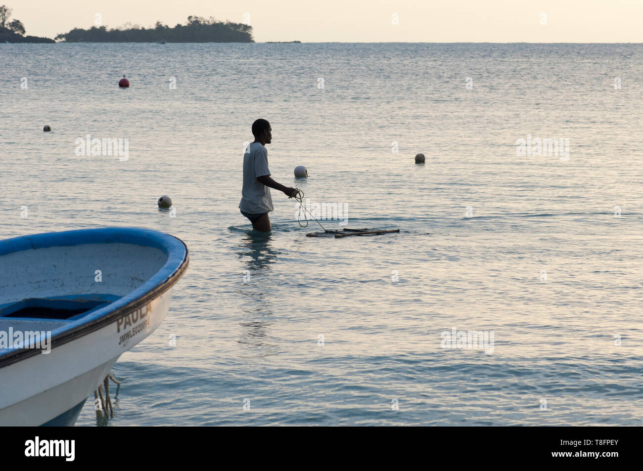 Jamaican fisherman pulling lobster trap near the shore Stock Photo Alamy