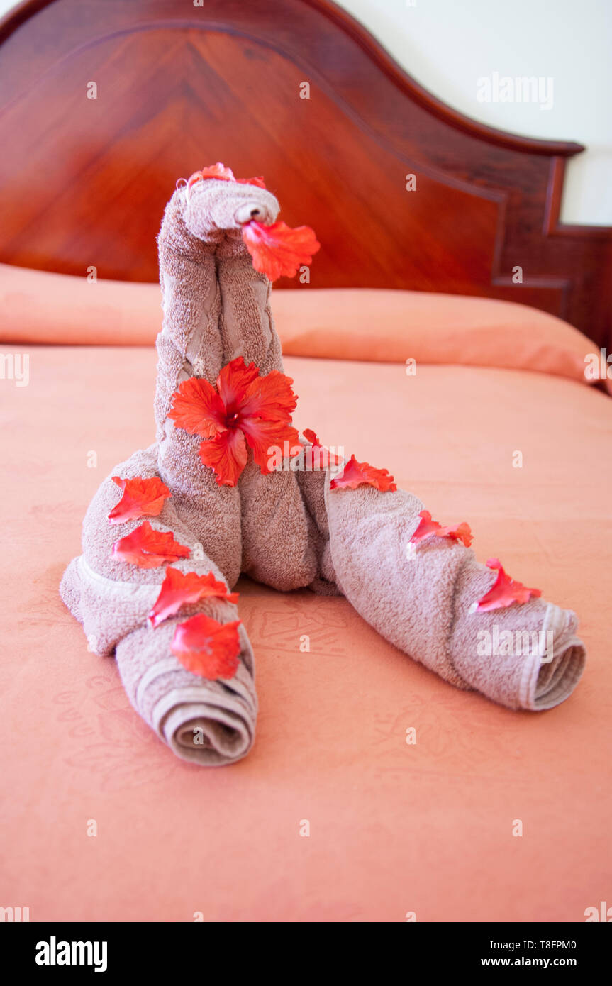 Towel art swan decorated with red hibiscus flowers Stock Photo Alamy