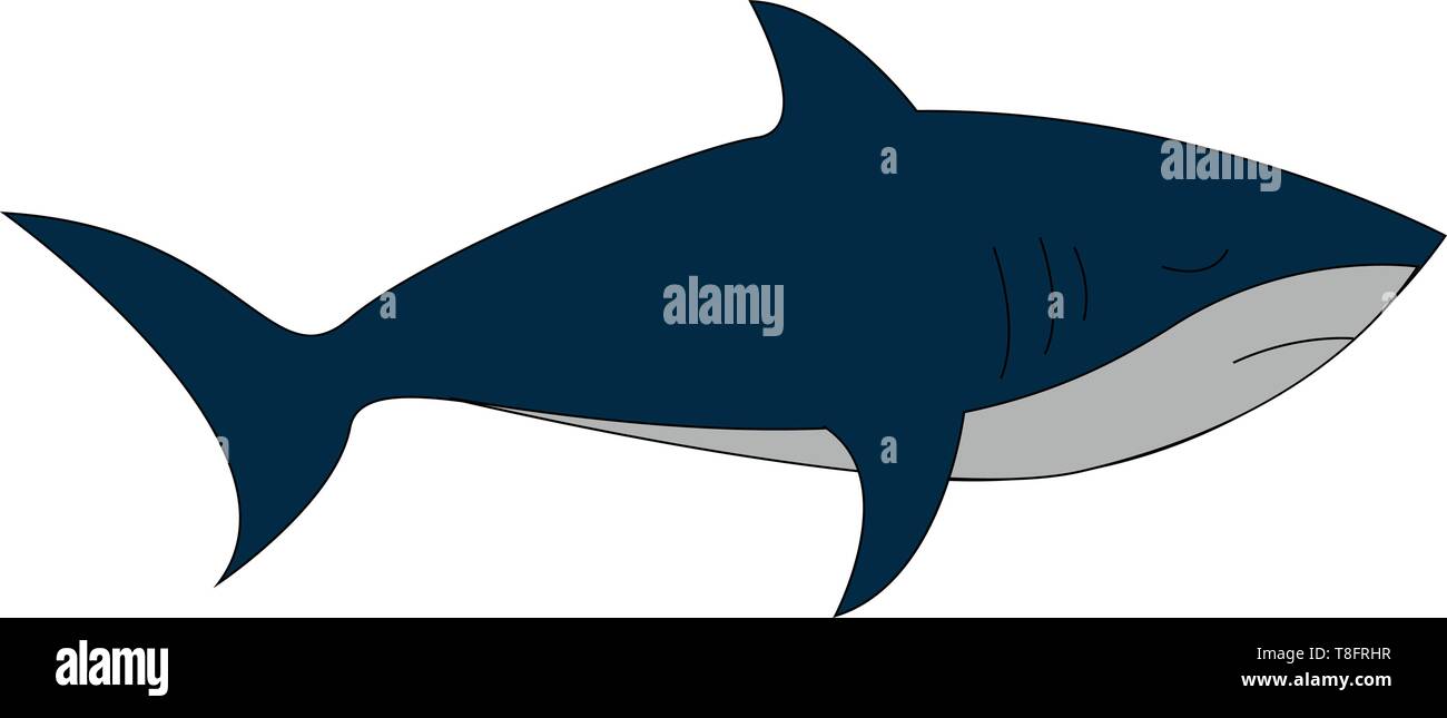 A shark with a streamlined body, forked tail, triangular-like fins, blue and white, upper and under parts, respectively, swims while its eye closed, v Stock Vector