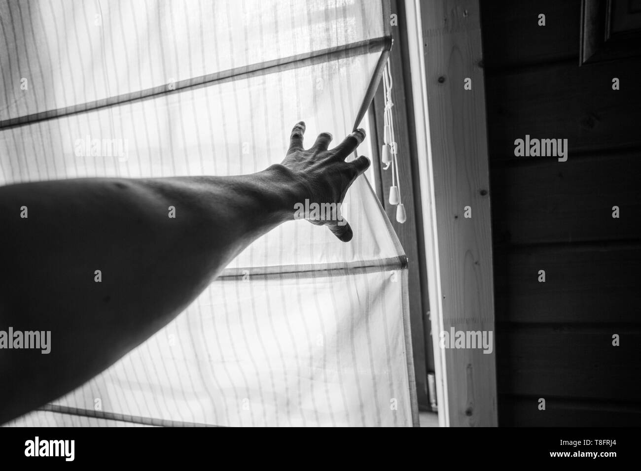 Black and white photo of male hand pulling back a curtain. Personal perspective view. Stock Photo