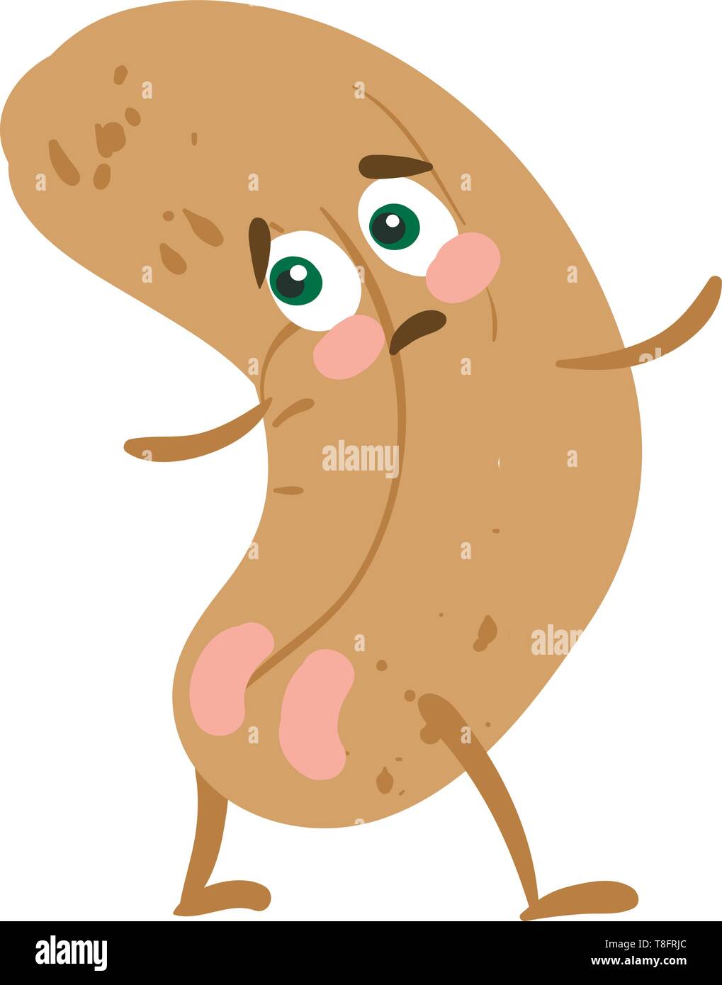 The shy brown-colored cashew nut has a face and expresses sadness while standing in a stylish pose set isolated on white background viewed from the fr Stock Vector