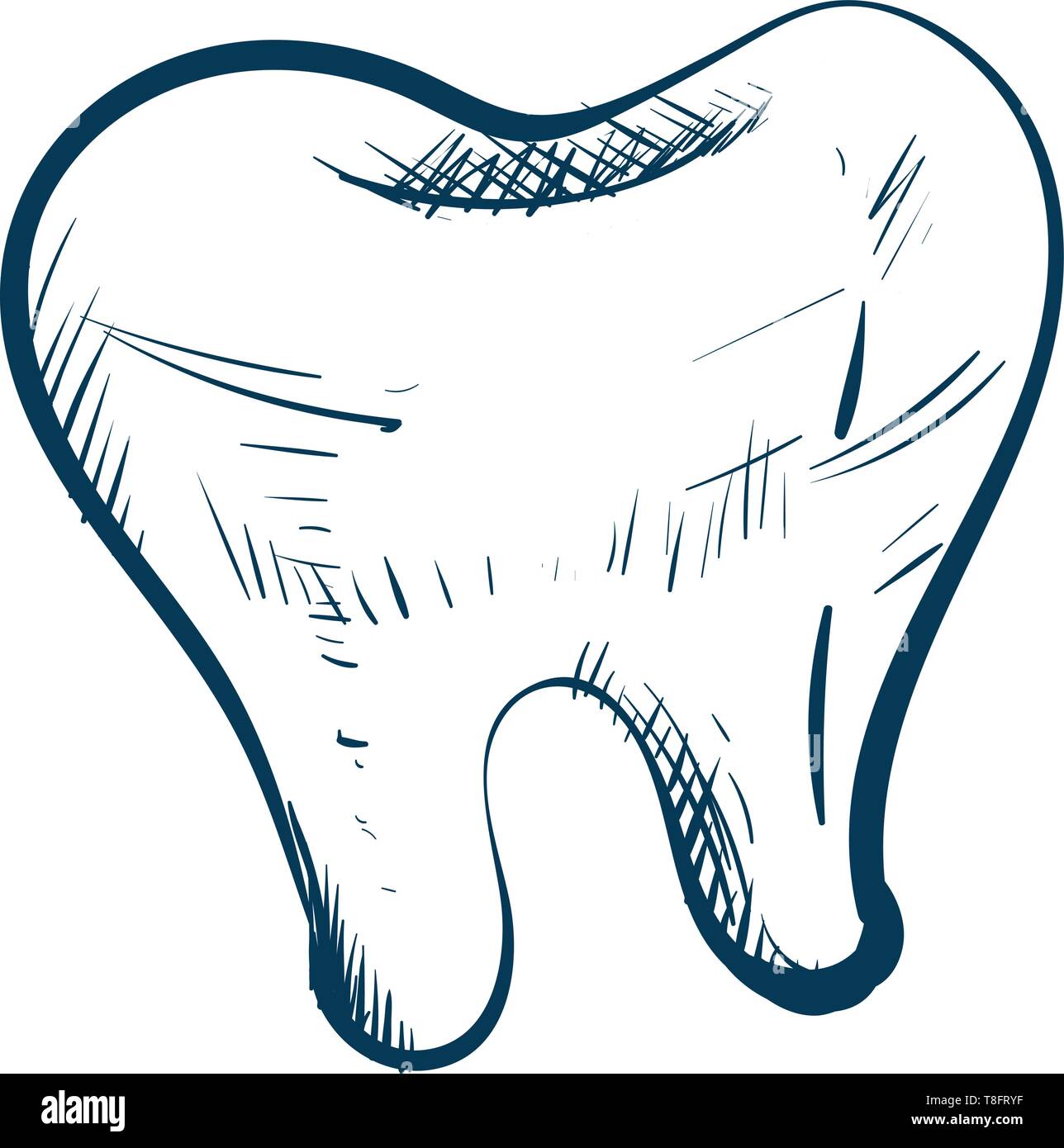 Sketch A white tooth over white tooth isolated on white background viewed from the front, vector, color drawing or illustration. Stock Vector