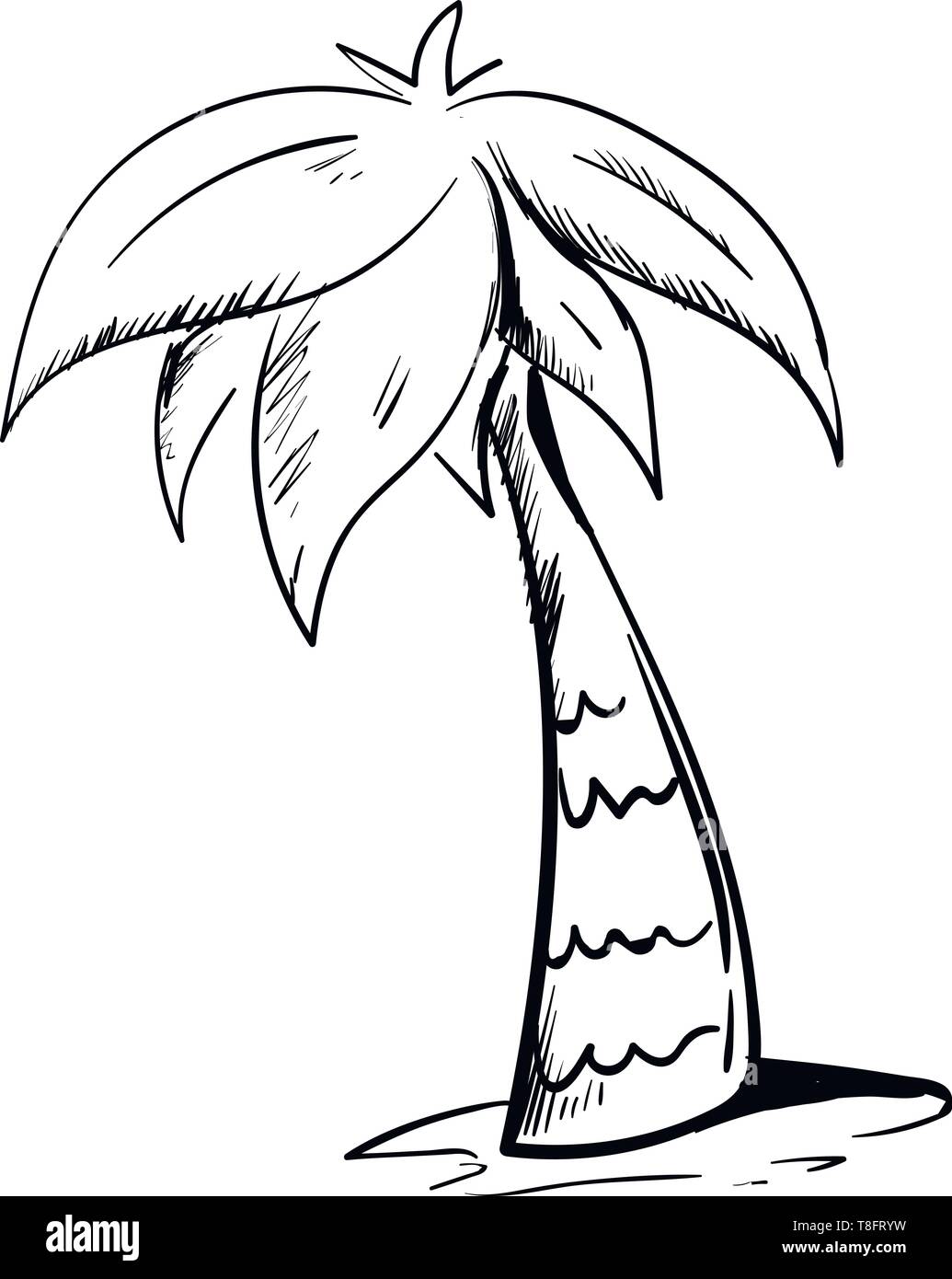 Sketch A palm tree has a crown of very long feathered or fan-shaped leaves has a sturdy trunk and grows above the soil over white background, vector,  Stock Vector