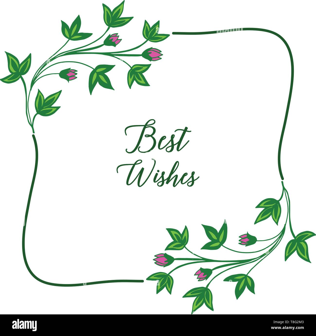 Vector illustration decor card best wishes with texture of green leafy ...