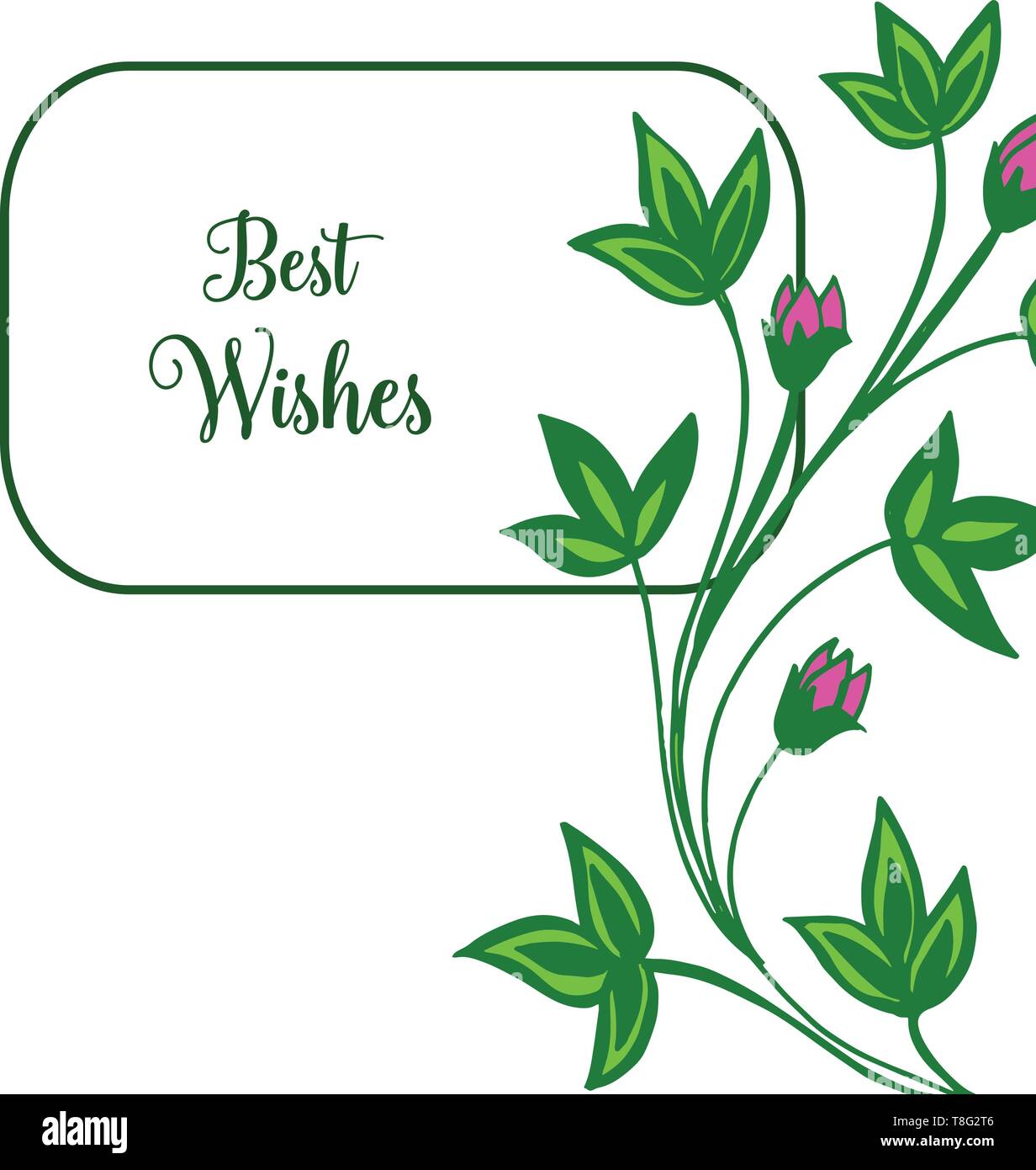 Vector illustration greeting card best wishes with beauty of frame ...