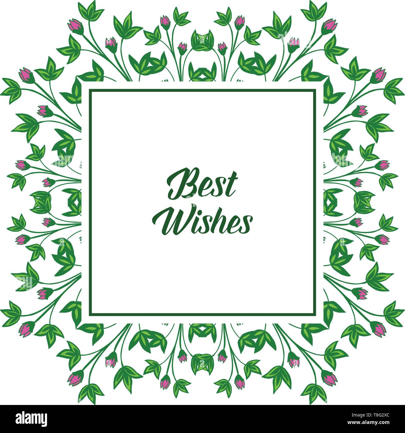 Vector illustration greeting card best wishes with beauty of frame ...