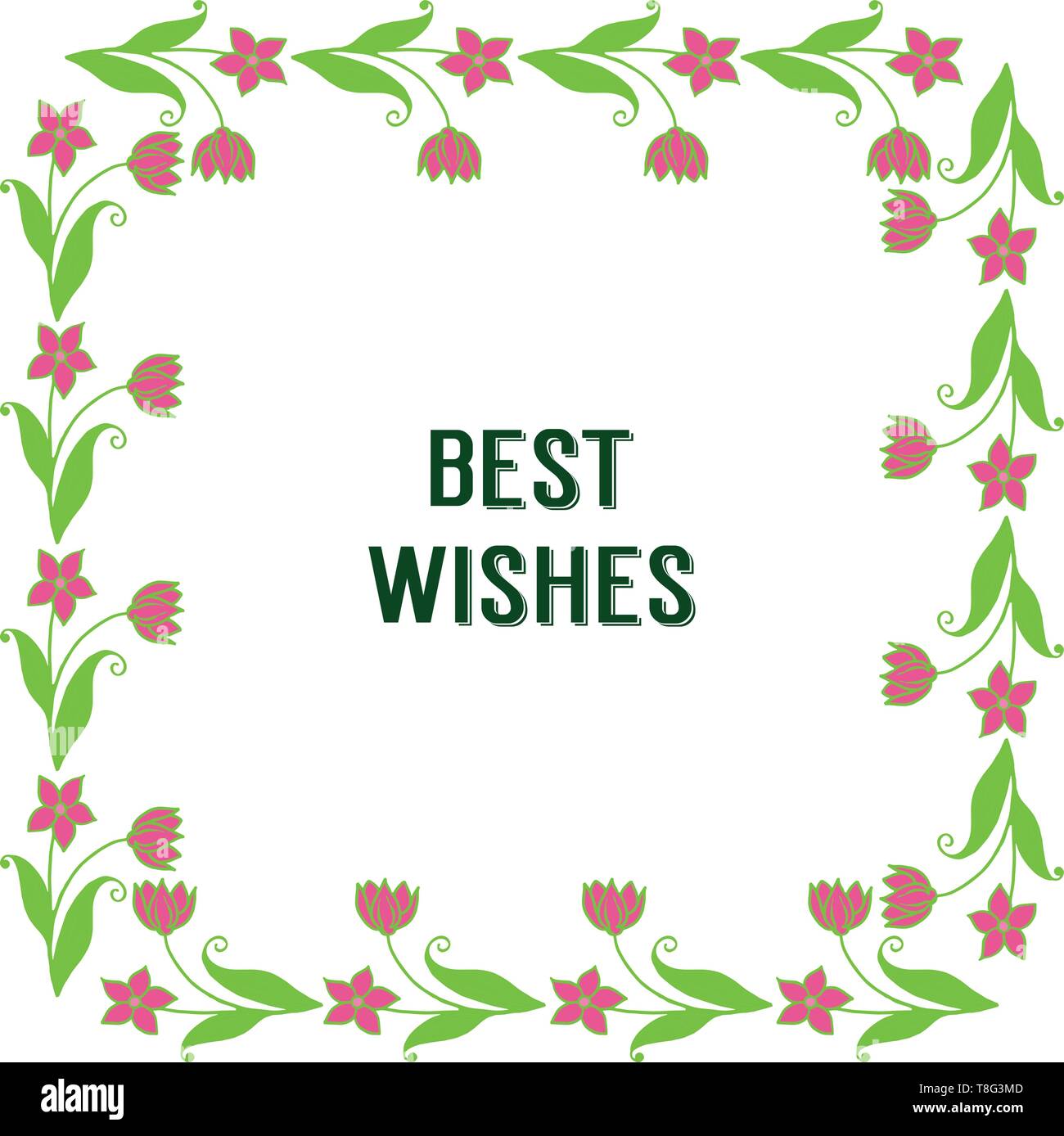 Vector illustration shape card best wishes with various art green leafy ...
