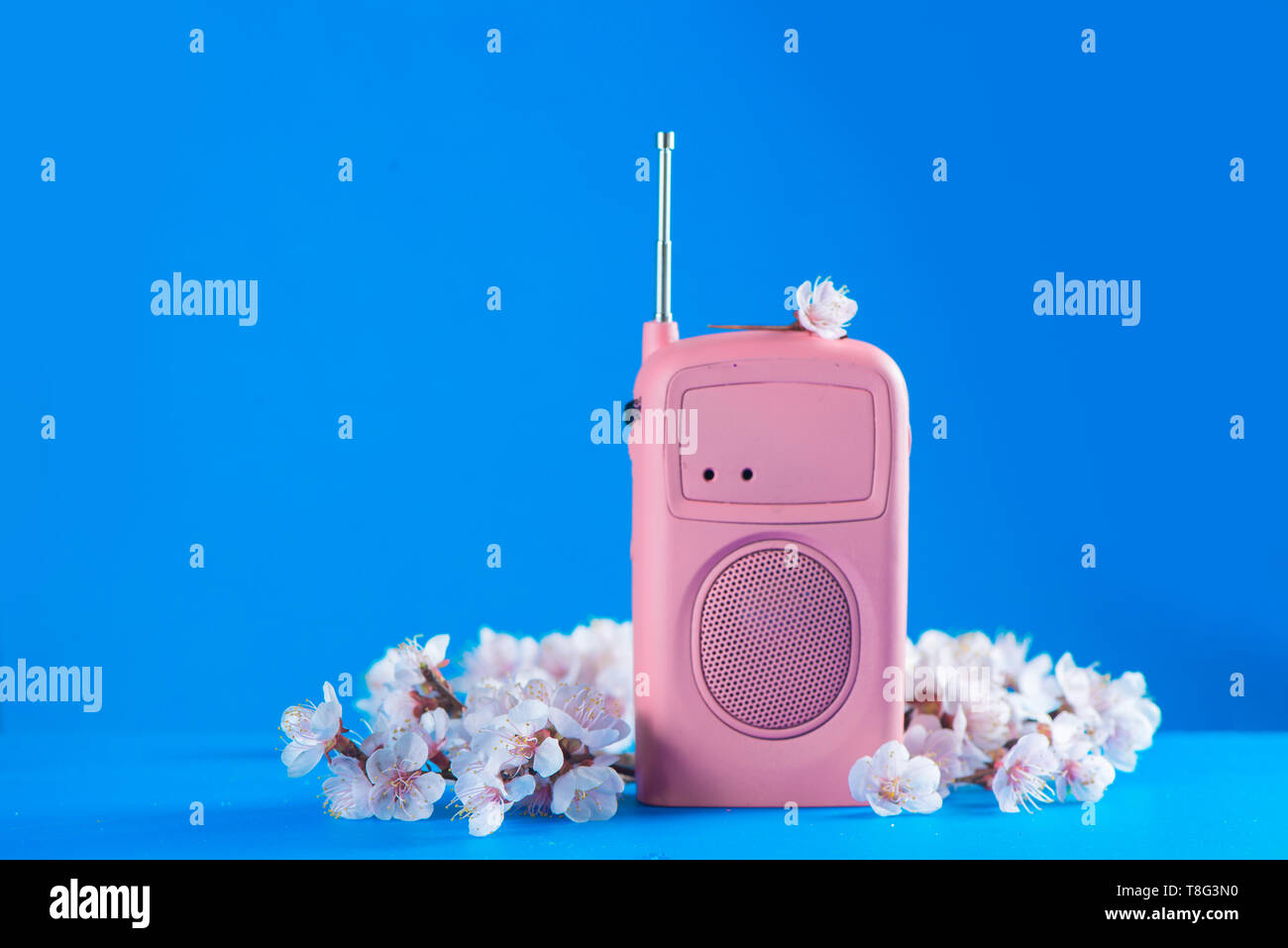 Pink retro radio with cherry blossom flowers on a sky blue background