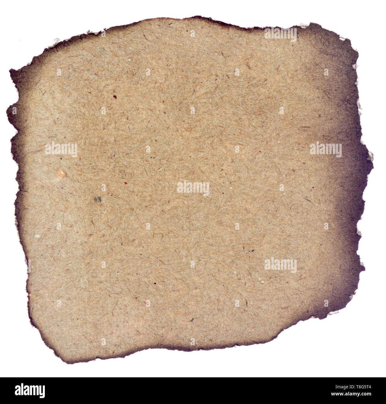 Old paper with burned edges on white background Stock Photo