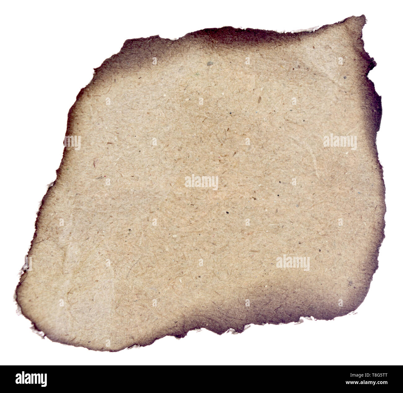 Old paper with burned edges on white background Stock Photo