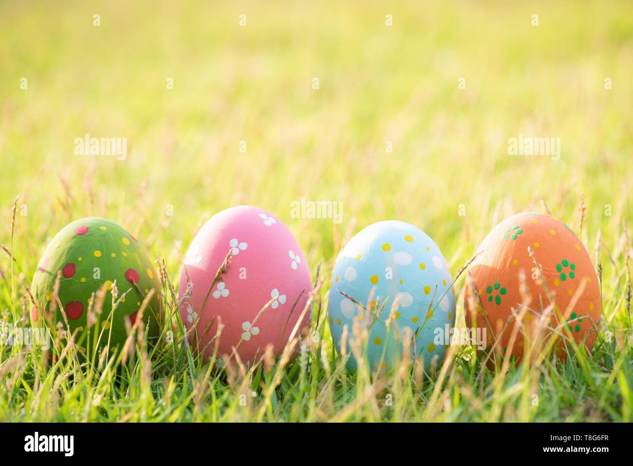 Happy easter! Closeup Colorful Easter eggs in nest on green grass field ...