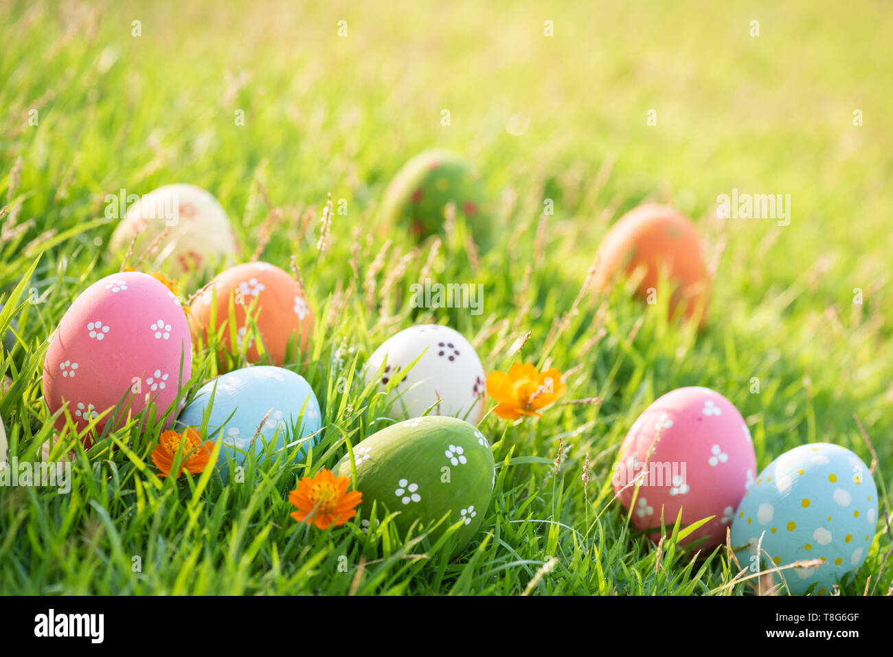 Happy easter! Closeup Colorful Easter eggs in nest on green grass field ...