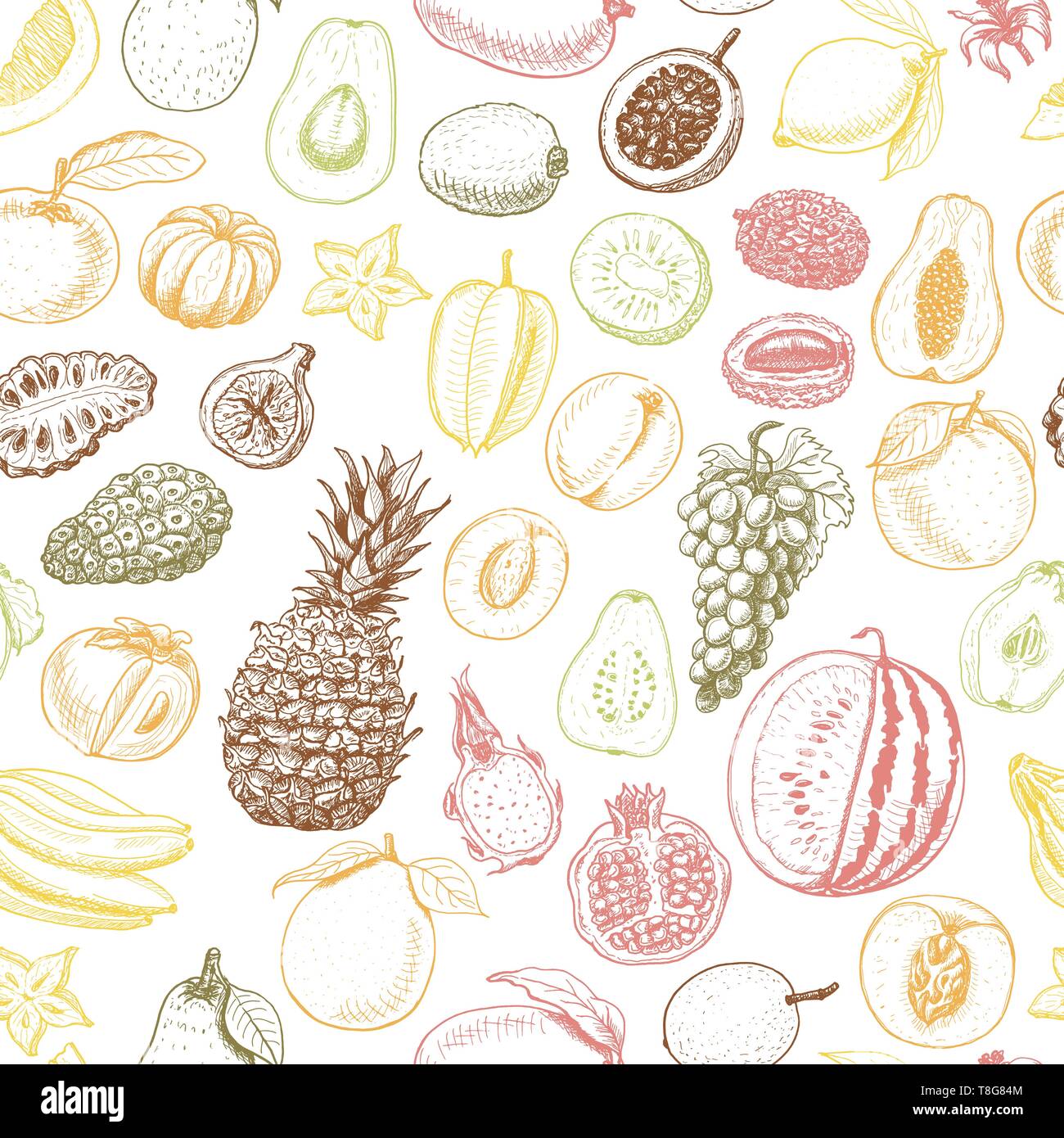 Seamless pattern with colored fruits on white background. Vector ...
