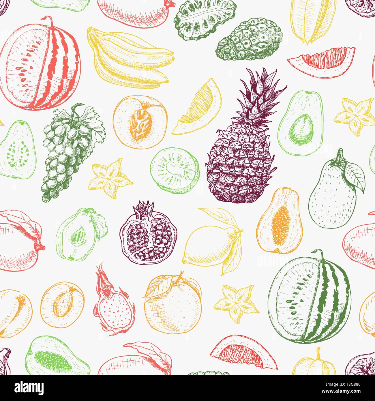 Seamless pattern with colored fruits on white background. Vector ...