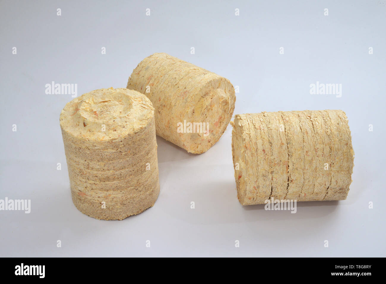 Three thick wood pellets, as used in large combustion plants. Studio picture against a white background Stock Photo