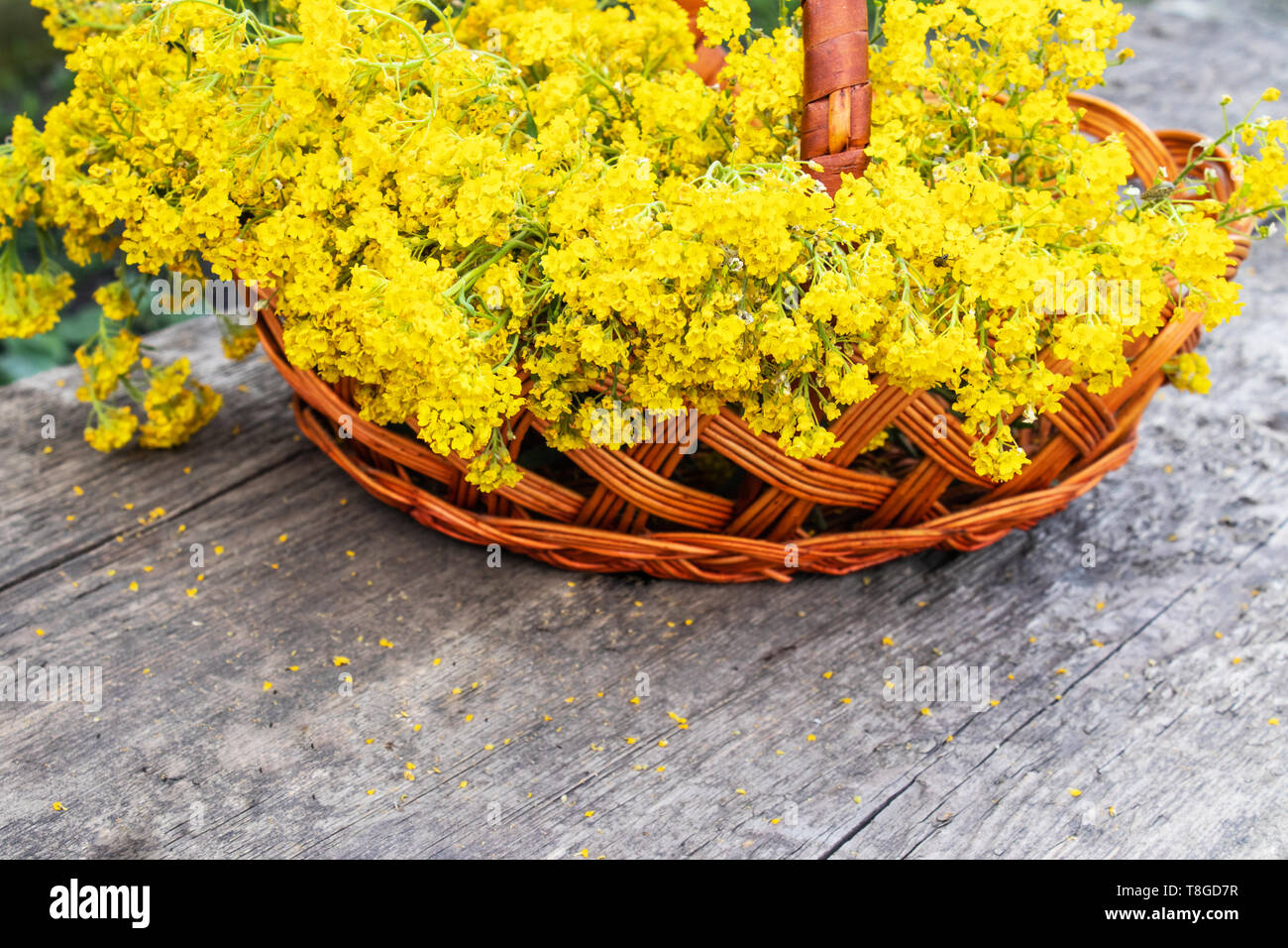 A Bouquet Of Small Yellow Flowers In A Wooden Basket On Old Boards Close Up Stock Photo Alamy