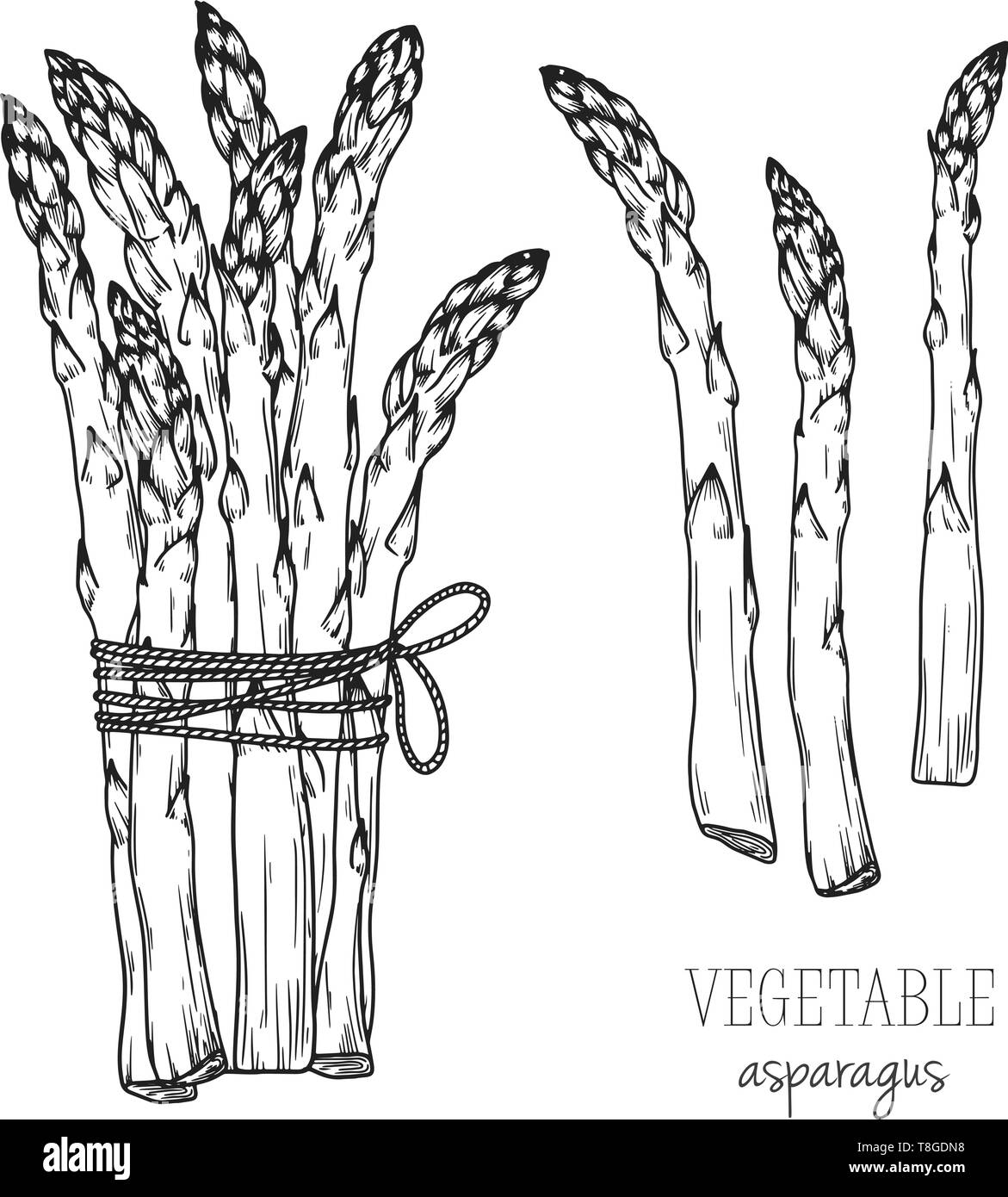 Featured image of post Cute Asparagus Drawing Follow along with us and learn how to draw funny asparagus friends