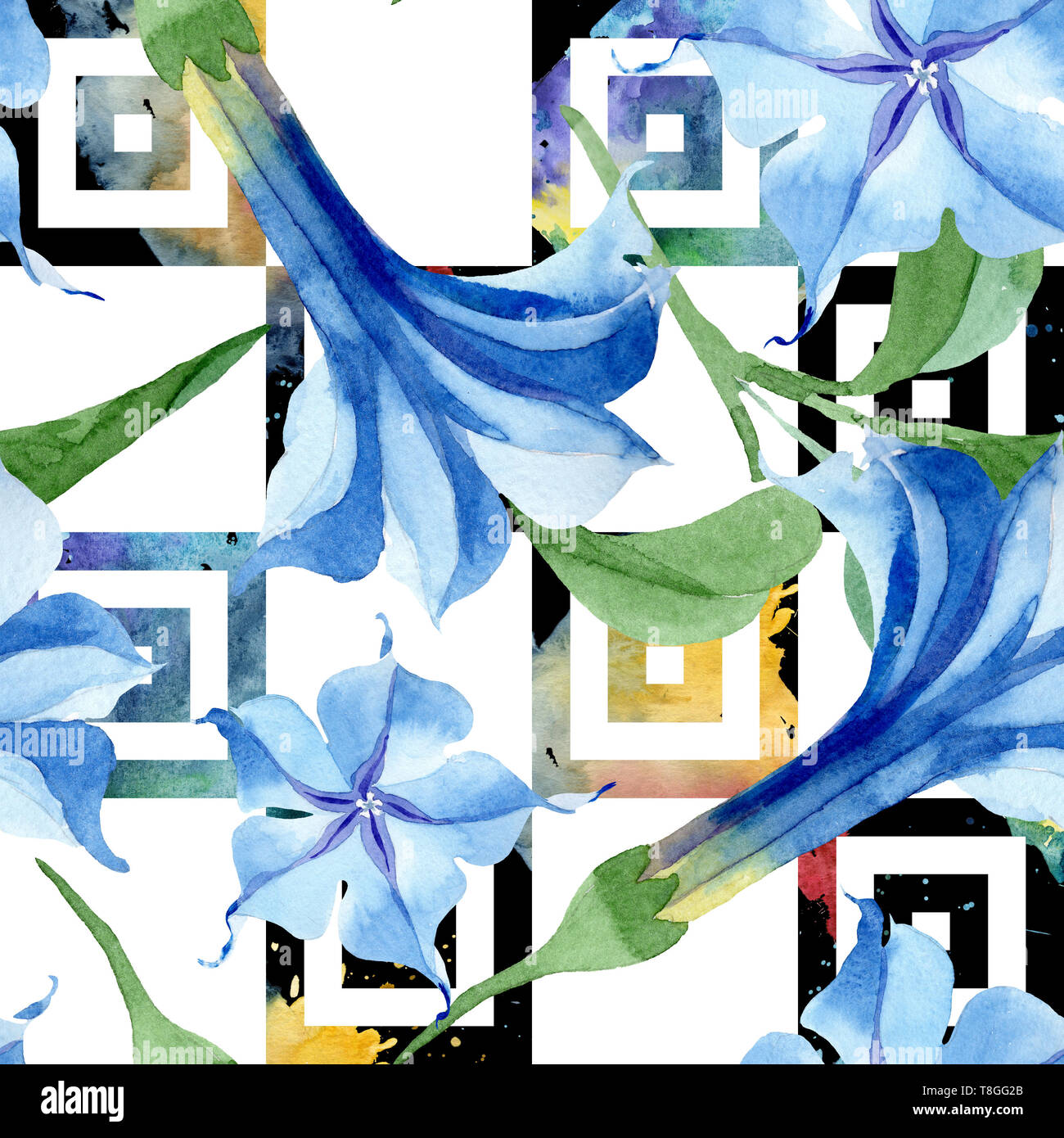Blue brugmansia floral botanical flowers. Watercolor background