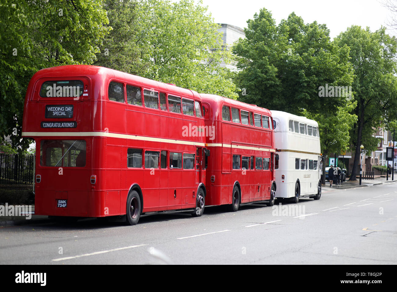 DOUBLE DECKER BUSES NEW NOVELTY TIE