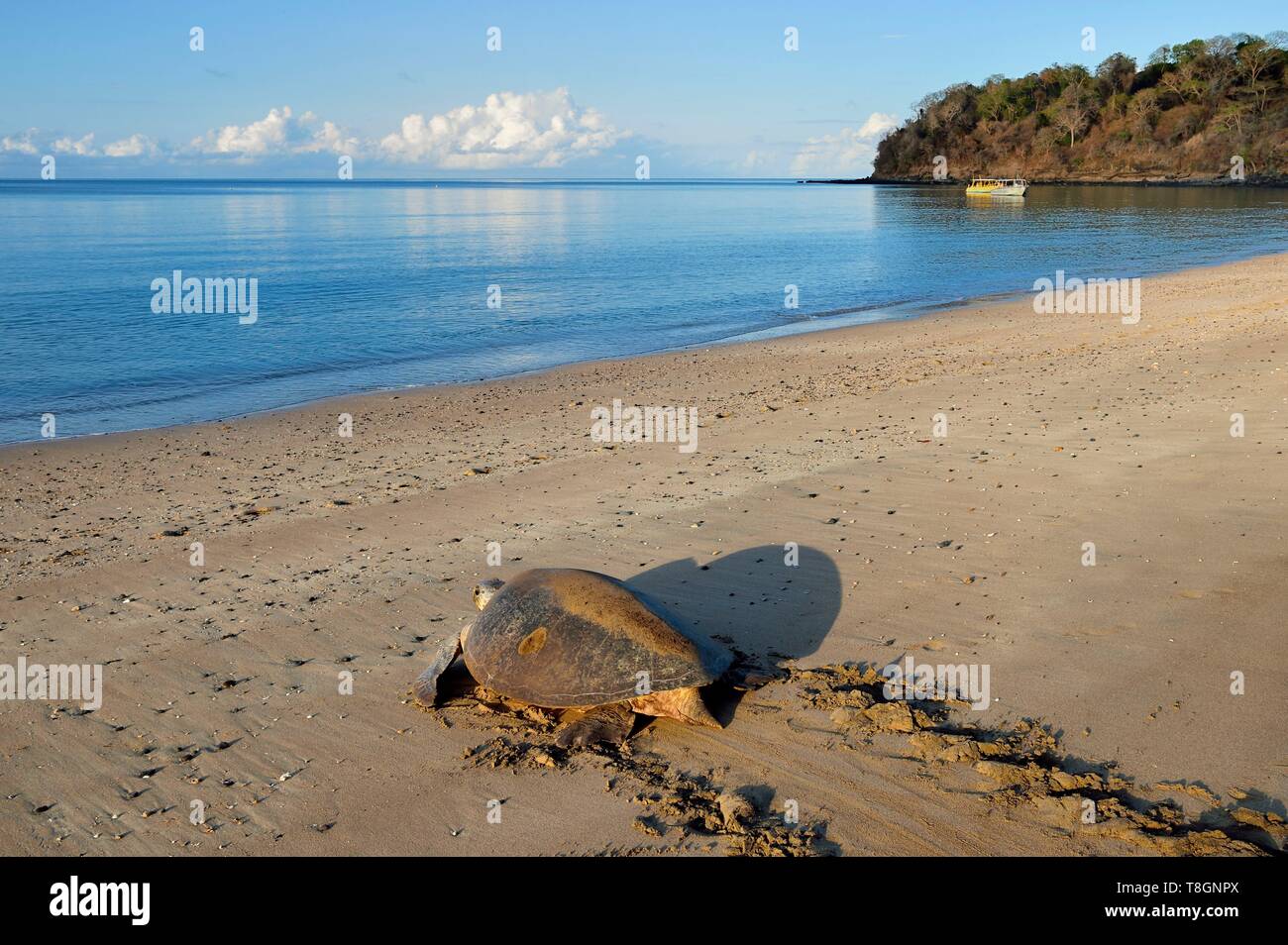 Mayotte islands hi-res stock photography and images - Alamy