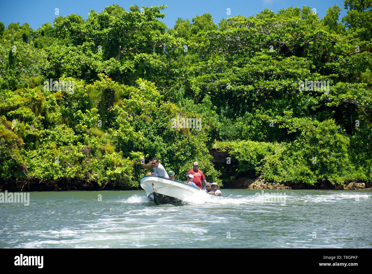Boat crosses mangrove surrounding the lagoon of Pohnpei, Federated States of Micronesia Stock Photo