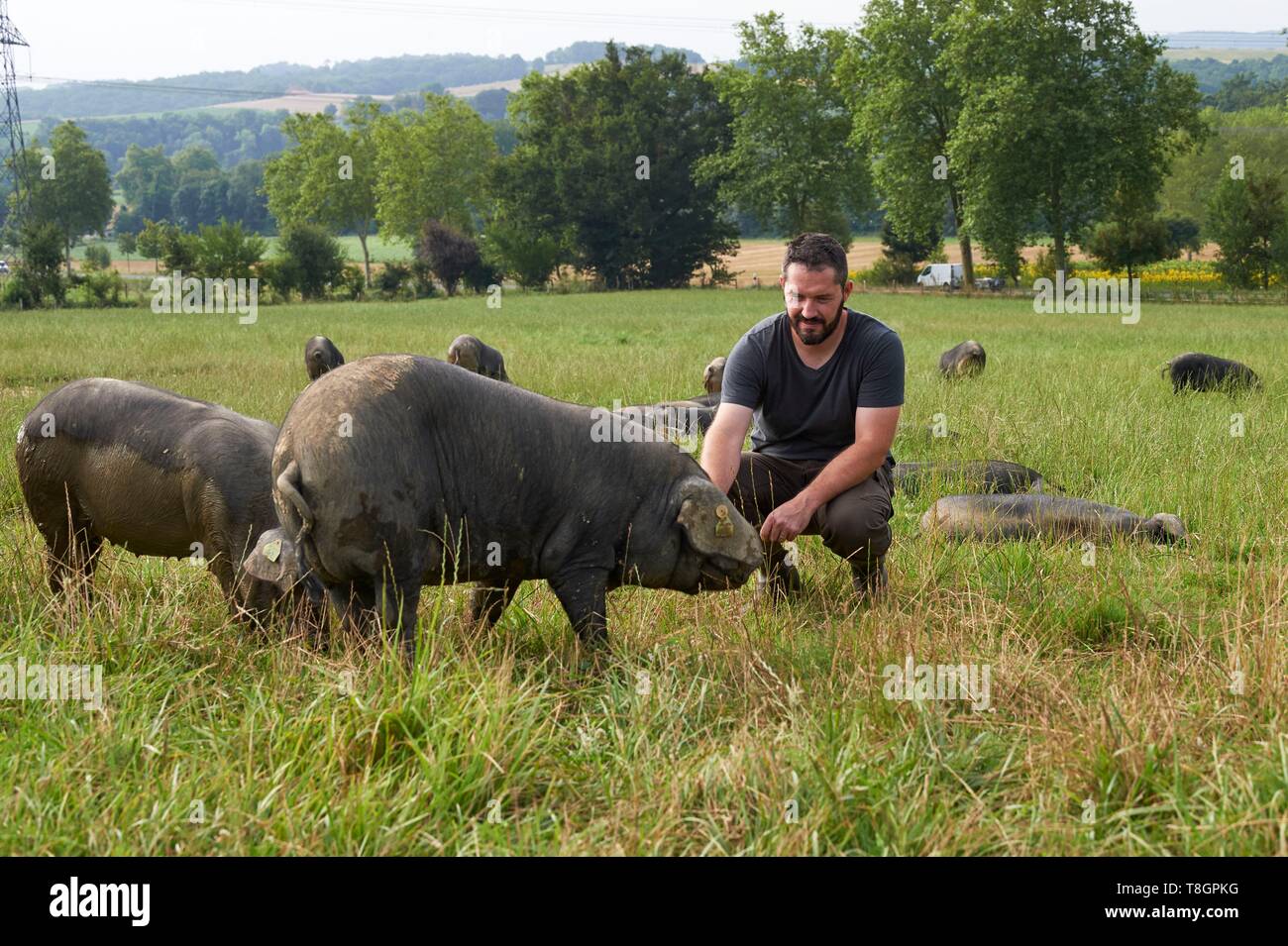 France, Haute Garonne, Saman, Jean Baptiste Aries, black pig farmer of Bigorre Stock Photo