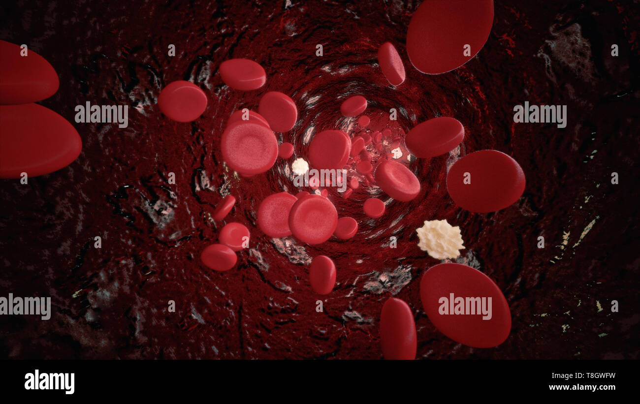 Red, white blood cells platelets hi-res stock photography and images ...